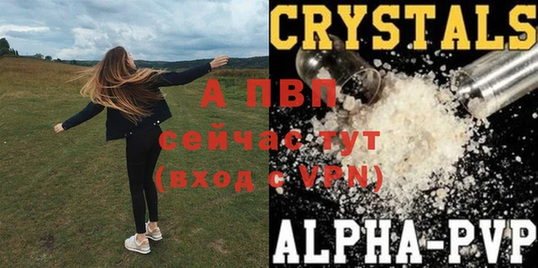 Альфа ПВП Магас