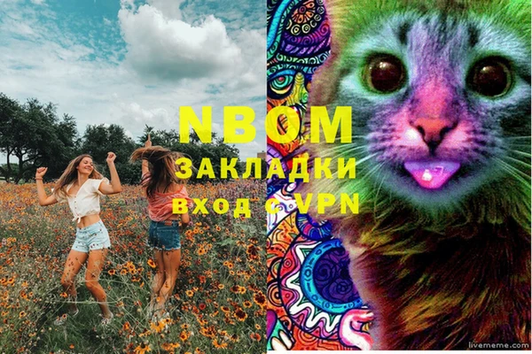 Альфа ПВП Магас