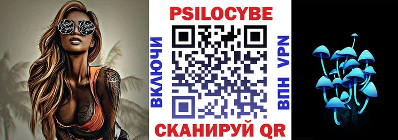Галлюциногенные грибы Psilocybe  Купить где  Елец 